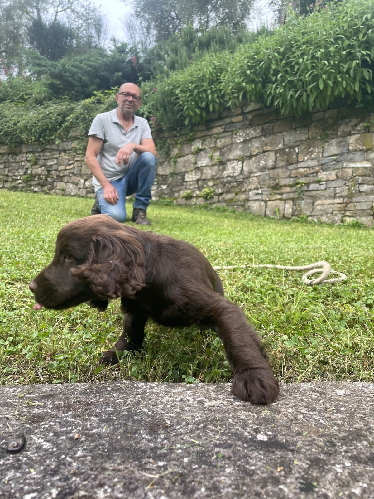 Cucciolo ospite della pensione in giardino, tra il verde