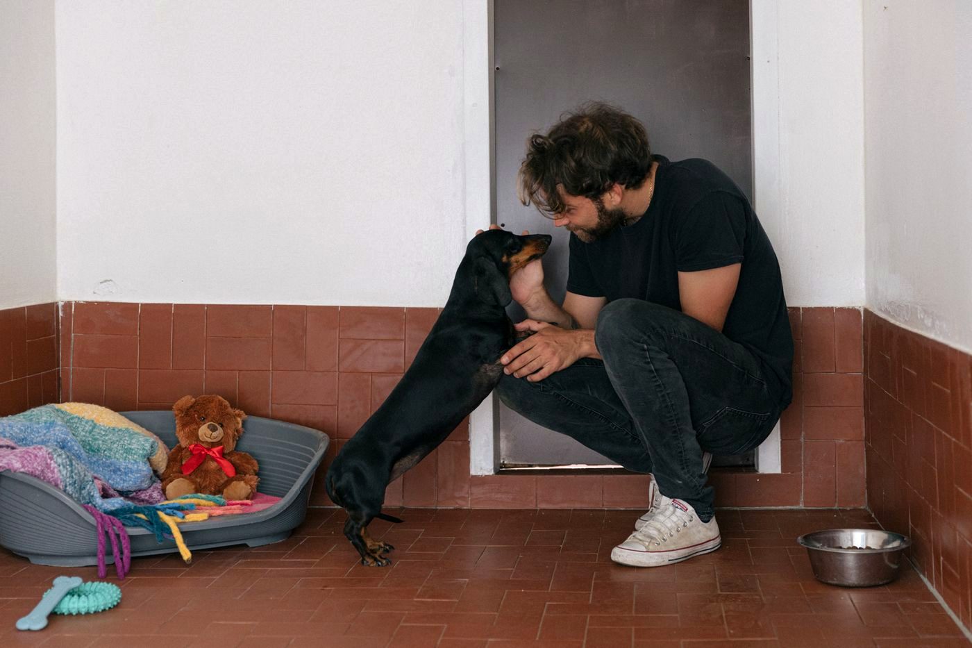 Membro dello staff della pensione coccola un cane ospite nel suo box