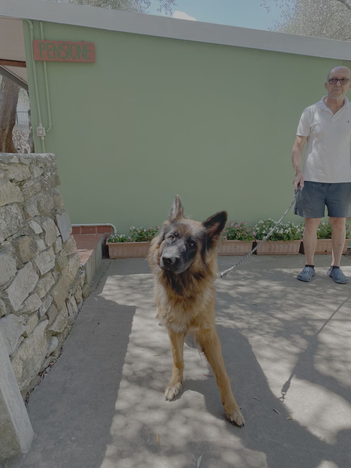 Il titolare della pensione con un cane ospite davanti all'ingresso della struttura